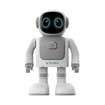 Elektronische robot „Robert“